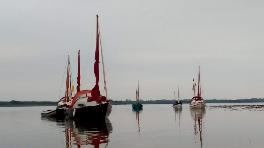 In the Shannon Estuary