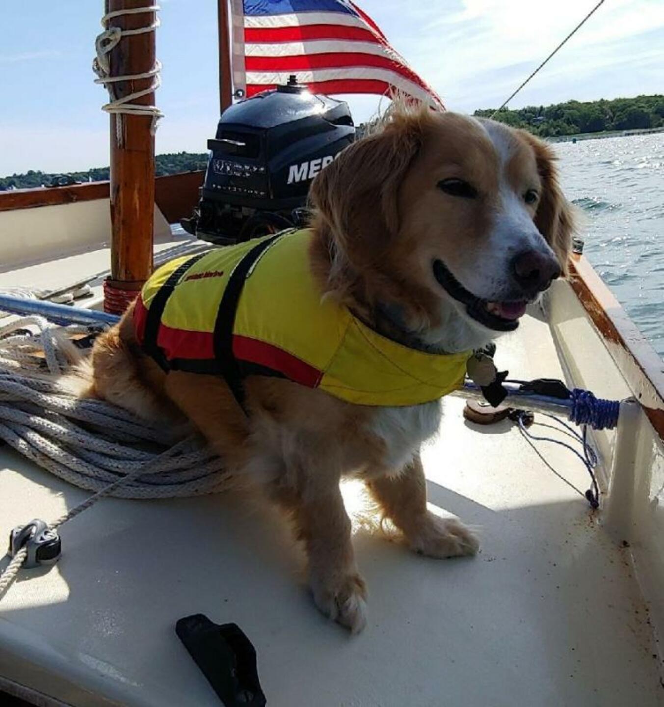 Rosie's Leeward Life